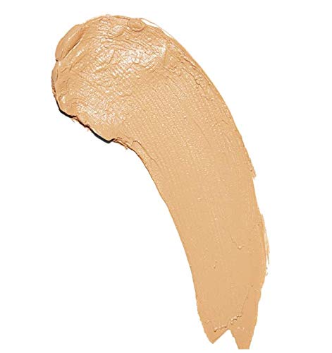 Makeup Revolution Fast Base Stick Foundation ~ F9