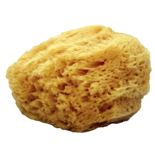mehron-natural-sea-sponge-applicator-yellow