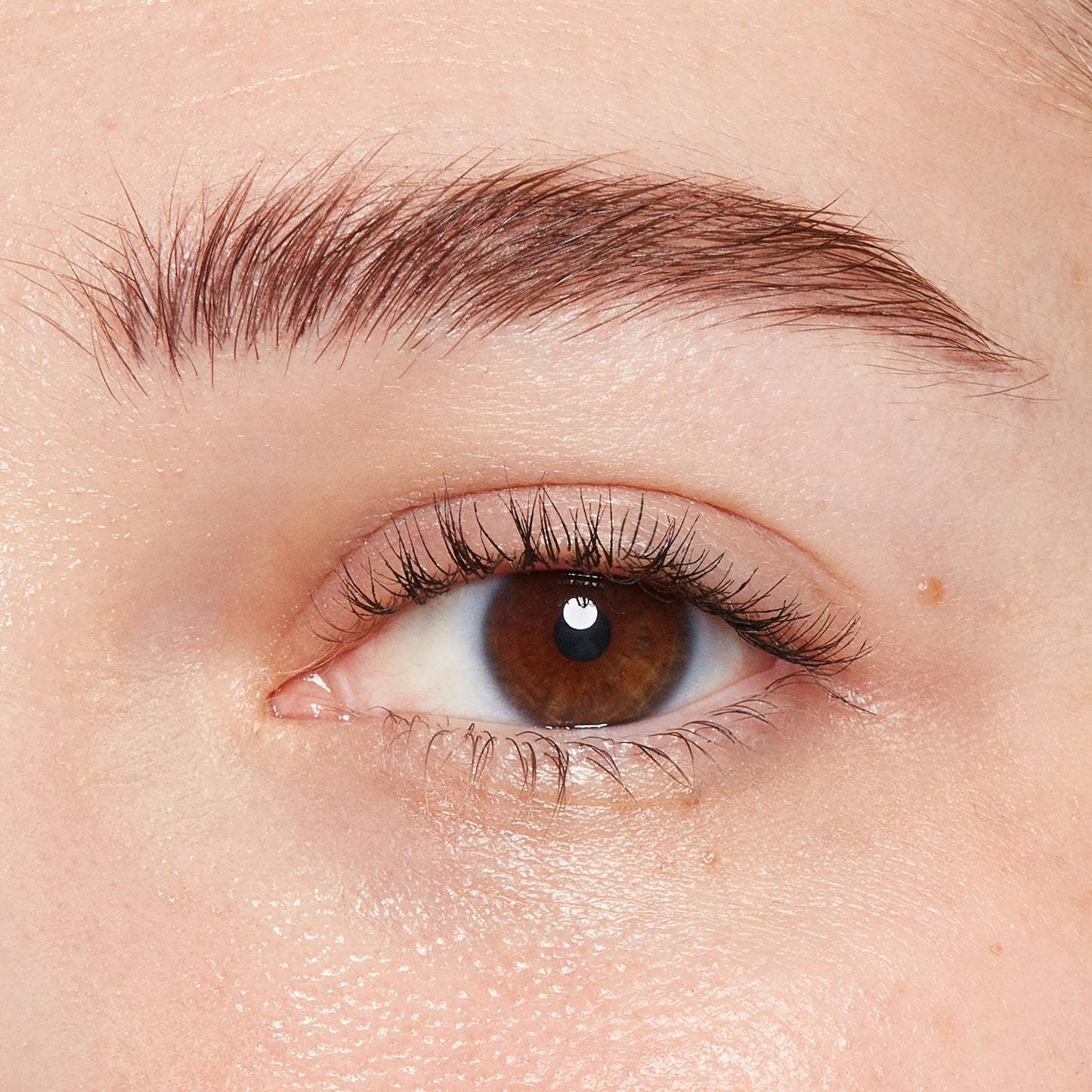 COVERGIRL Easy Breezy Brow Micro-Fine + Define Pencil, Rich Brown, 0.003 oz