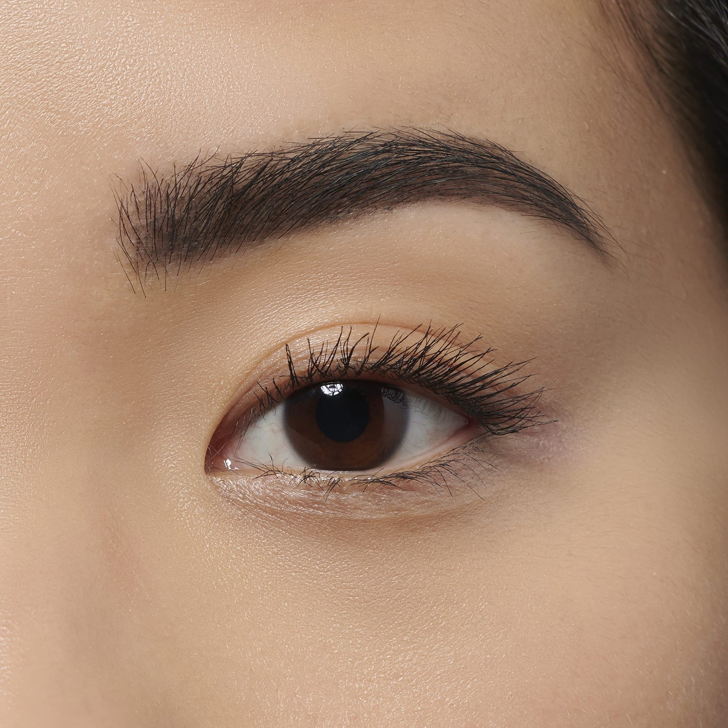 Makeup Revolution Brow Pomade, Waterproof Eyebrow Pomade, Long Lasting With Extreme Hold, Smudge-Proof, Vegan & Cruelty Free, Graphite, 2.5g
