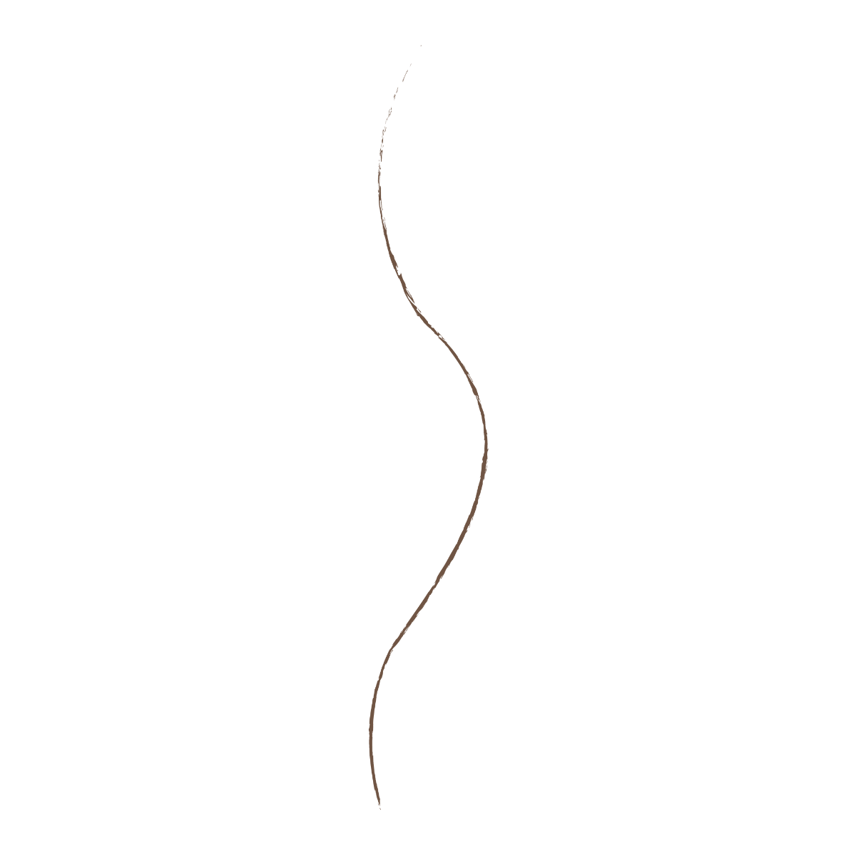 WET N WILD Ultimate Brow™ Micro Brow Pencil